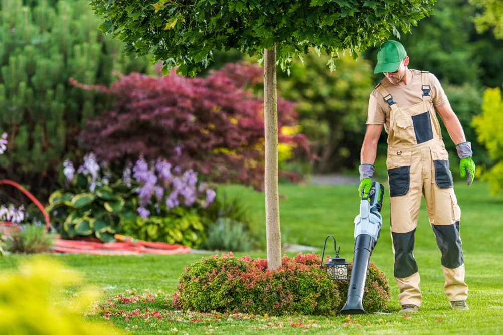 Comprehensive Groundskeeping Solutions