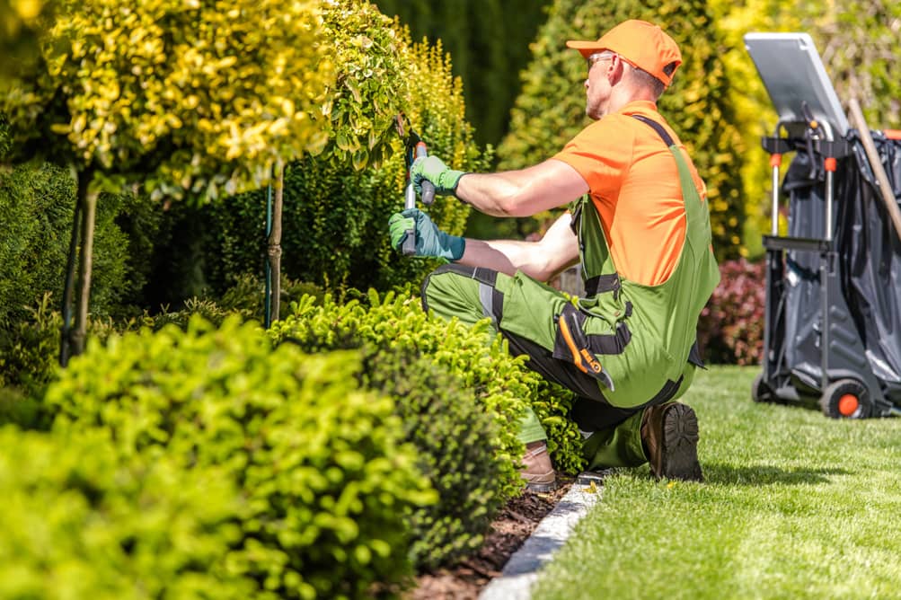 Grounds Maintenance Services